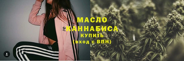 дживик Надым