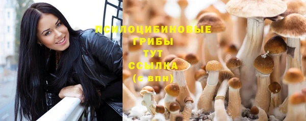 дживик Надым