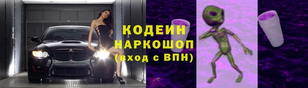 дживик Надым