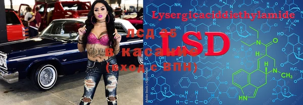 дживик Надым