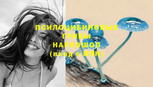 мяу мяу мука Навашино