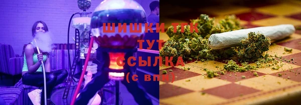 дживик Надым