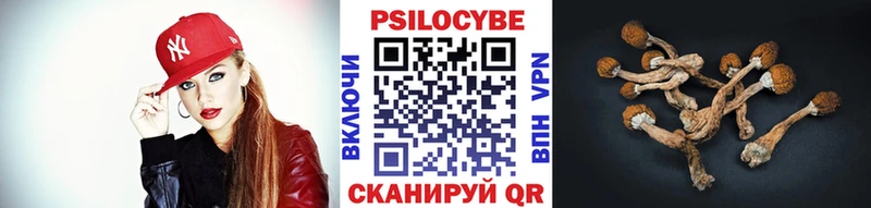 Псилоцибиновые грибы GOLDEN TEACHER Северодвинск