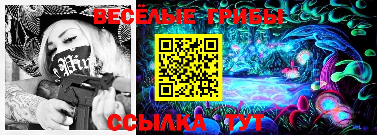 магазин продажи наркотиков  Северодвинск  Псилоцибиновые грибы Psilocybine cubensis 