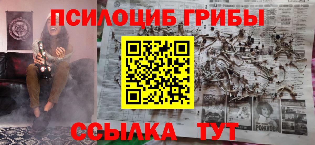 Псилоцибиновые грибы мицелий  Вход с VPN  Северодвинск  Псилоцибиновые грибы Cubensis 