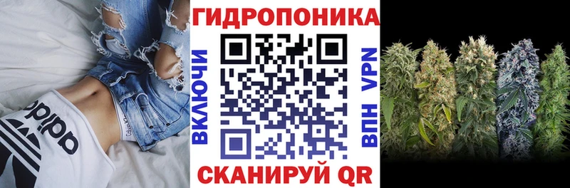 Бошки Шишки планчик  MEGA ССЫЛКА  Северодвинск 